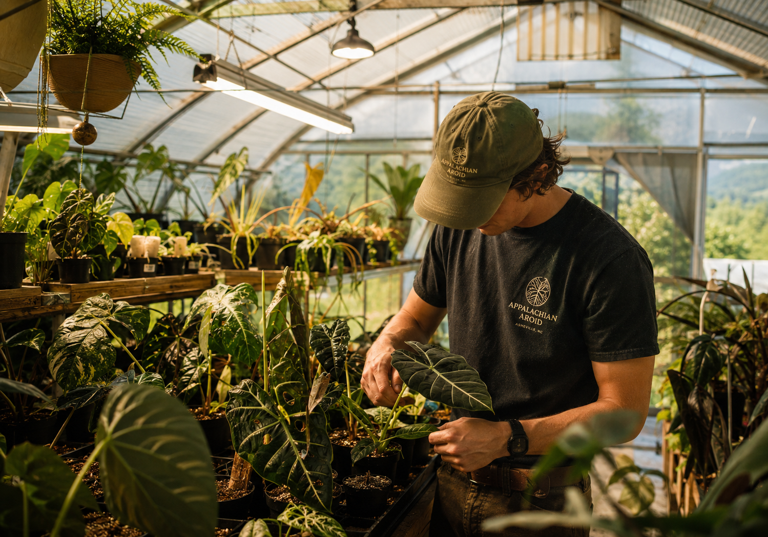 Founder tending plants in the Asheville greenhouse